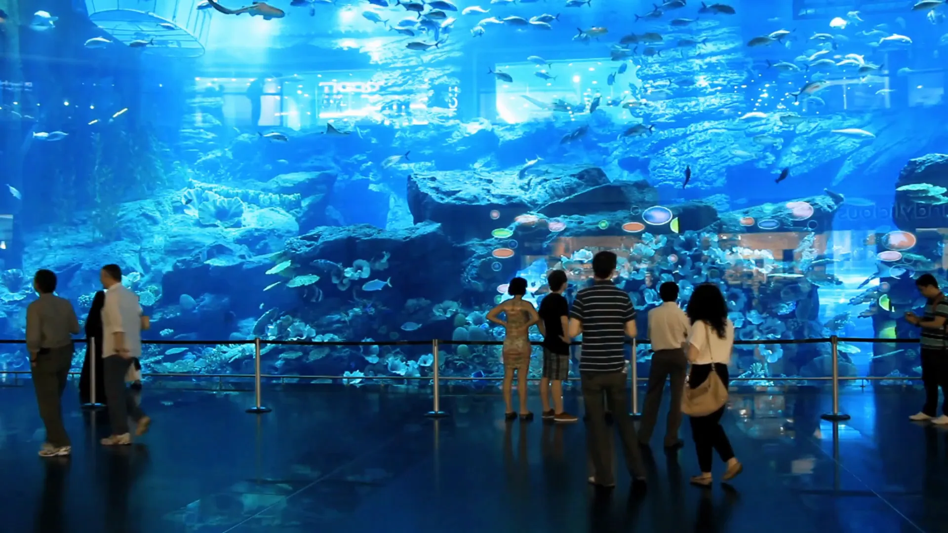 Loveland Living Planet Aquarium with interactive exhibits