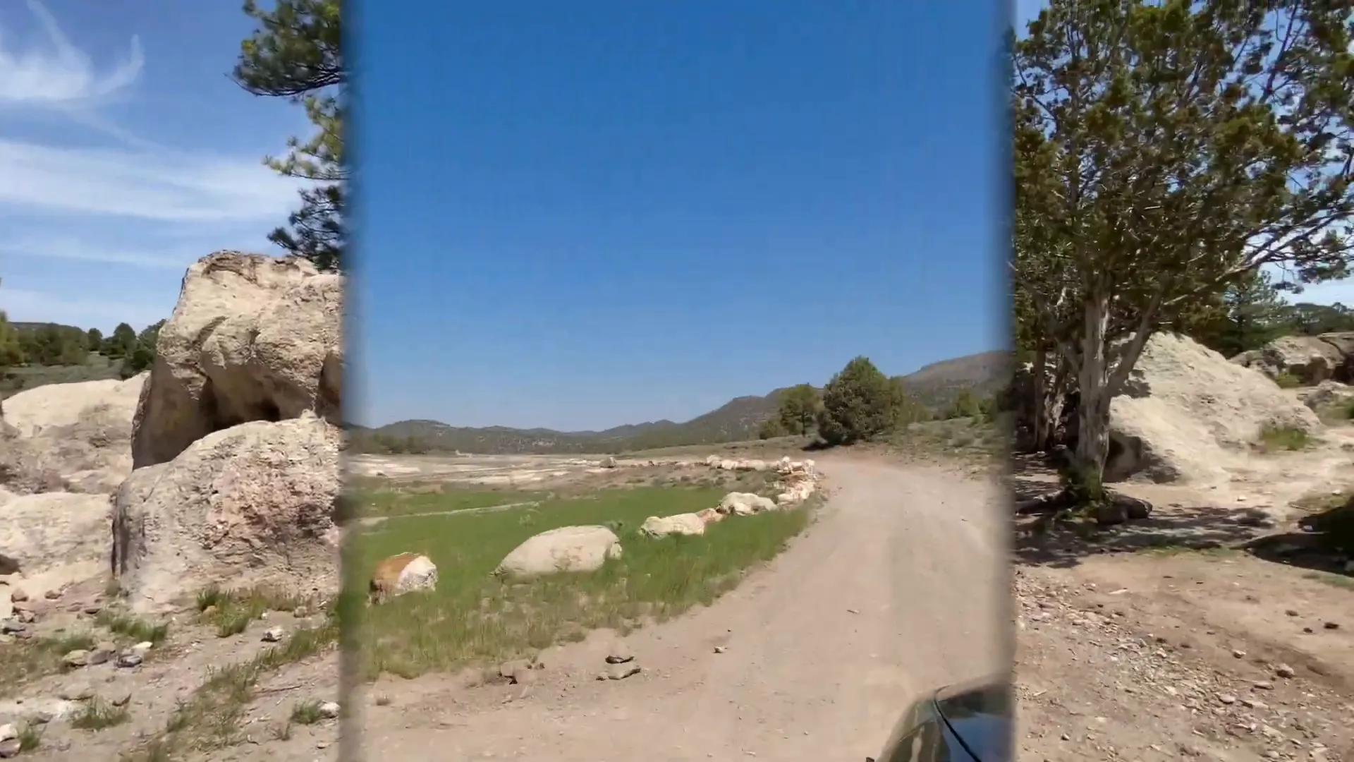 Off-highway vehicle riding on rugged trail in Dixie National Forest