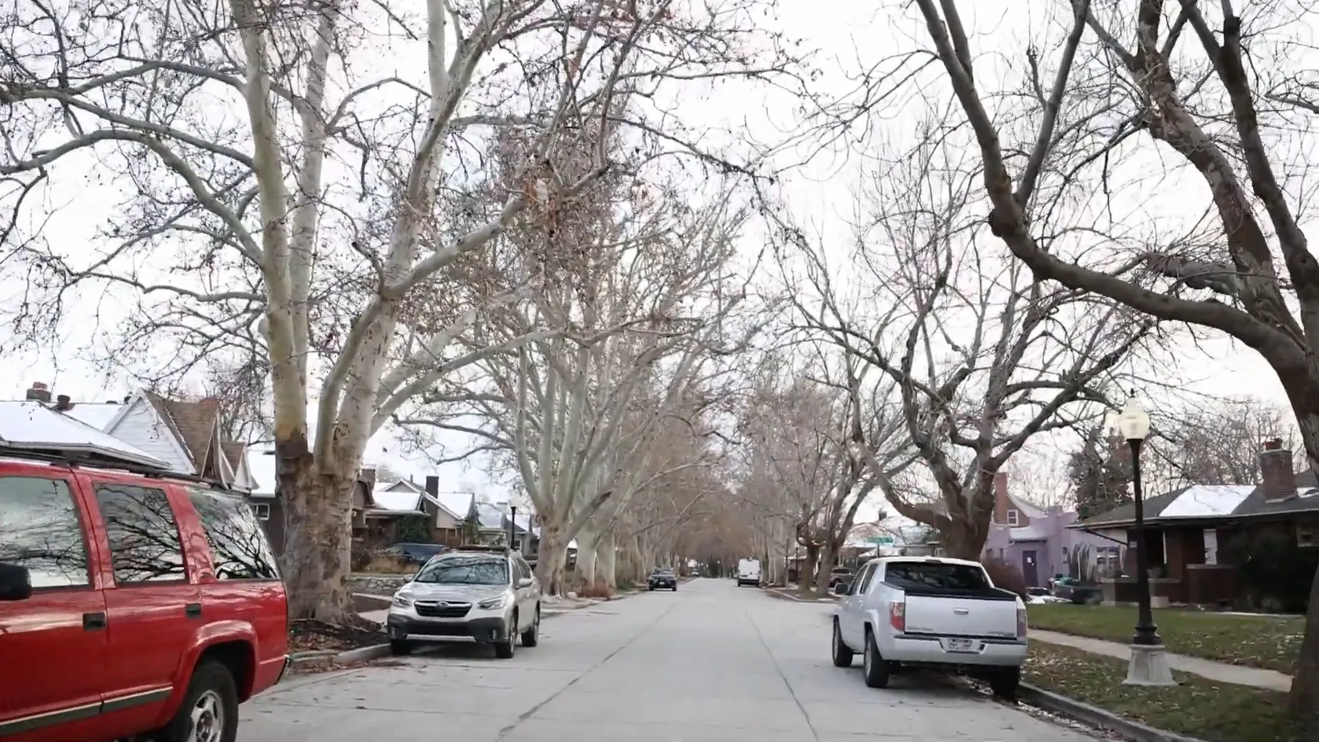 Tree-lined streets in Millcreek during winter