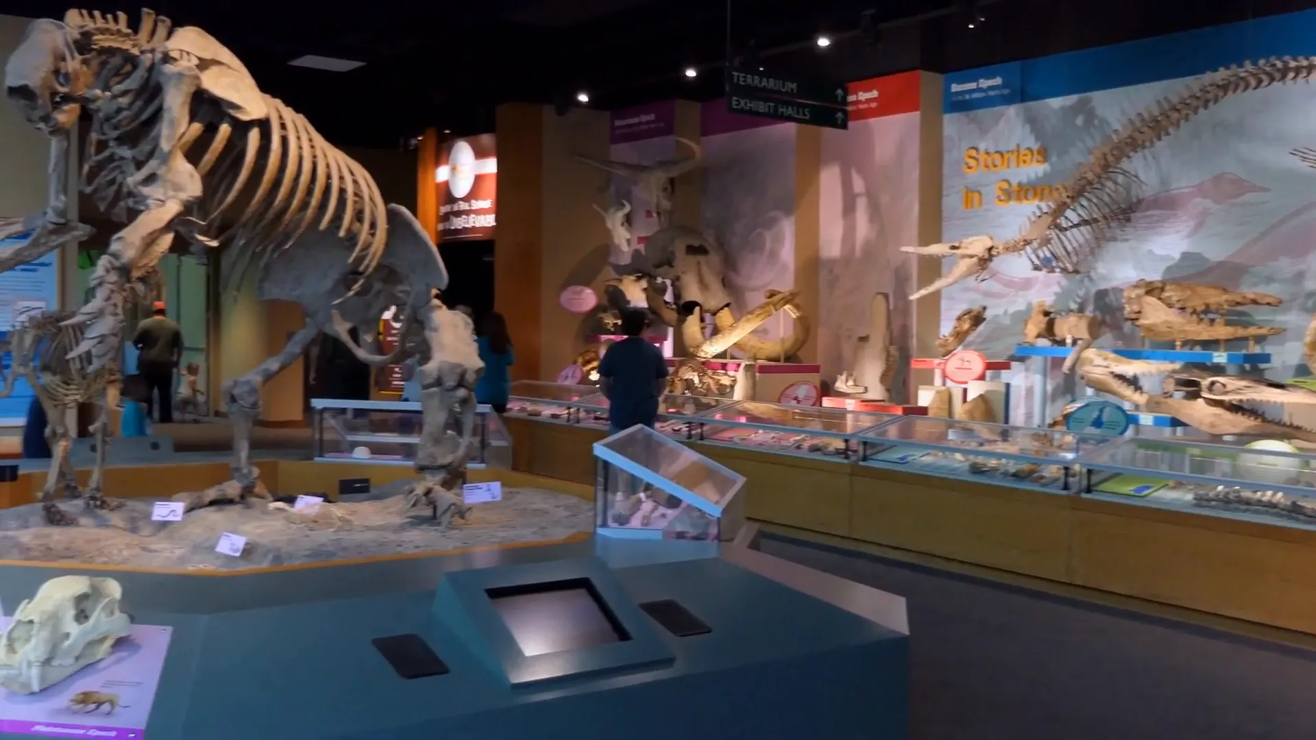 Natural History Museum of Utah dinosaur fossil exhibit