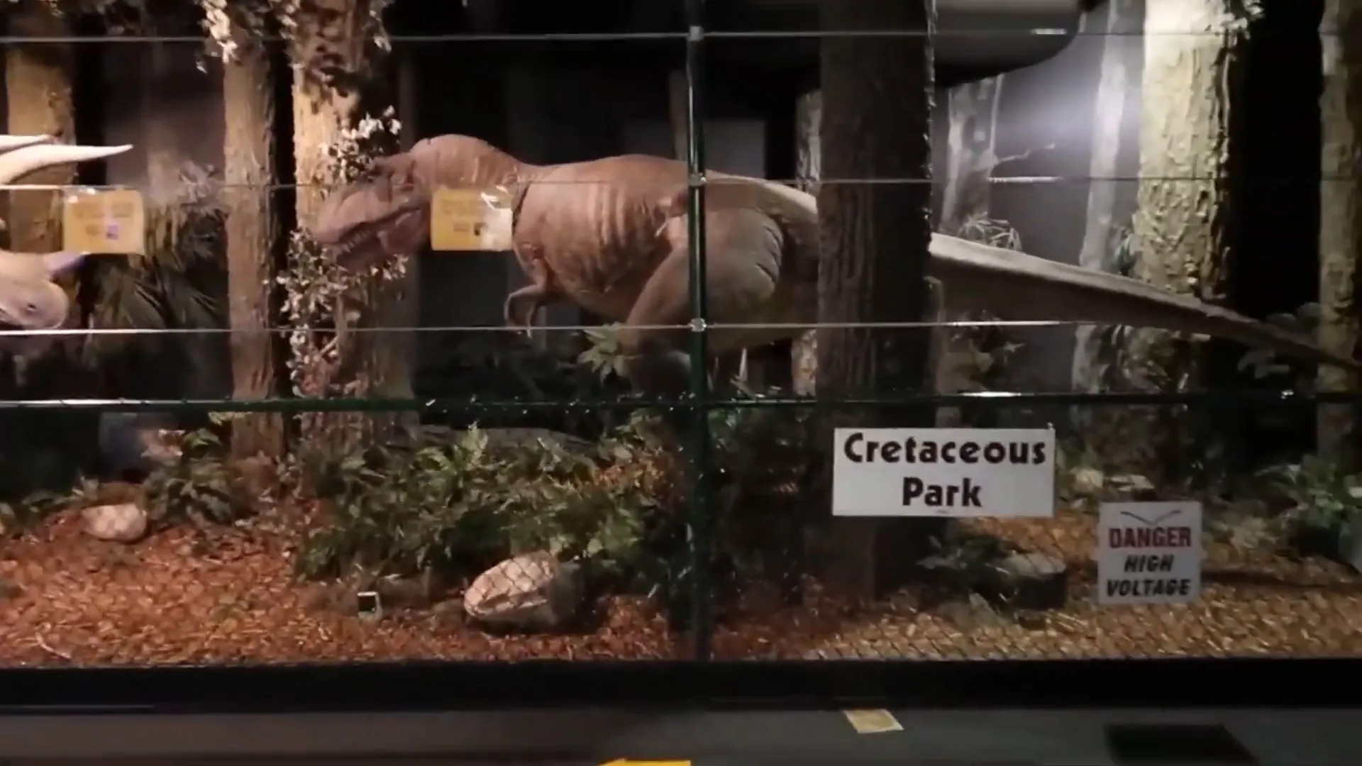 Eccles Dinosaur Park with life-sized dinosaur sculptures