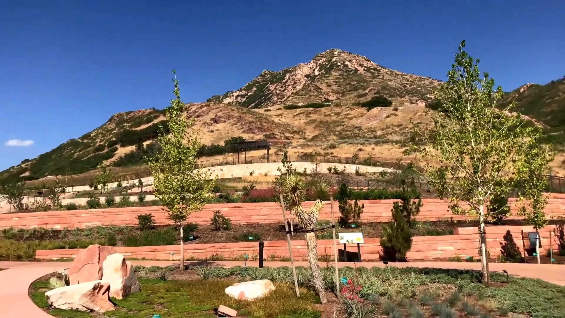 Red Butte Garden flowers