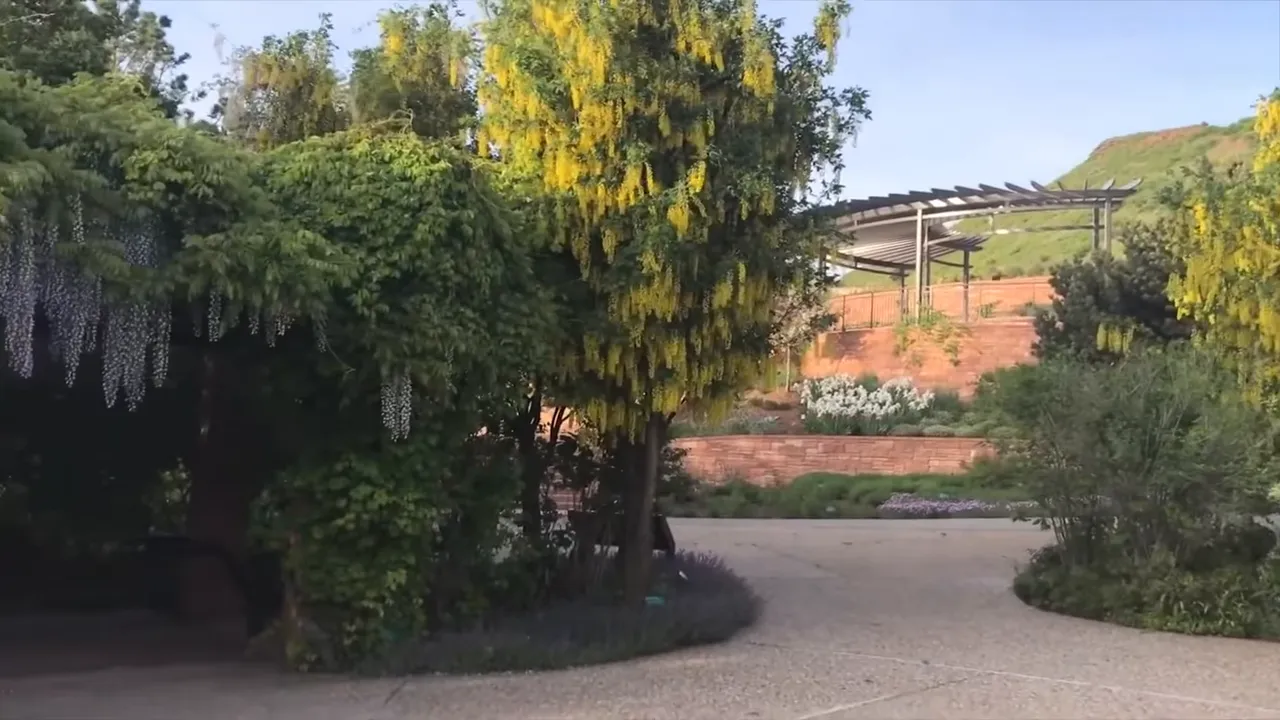 Pathway through Red Butte Garden with mountain vistas