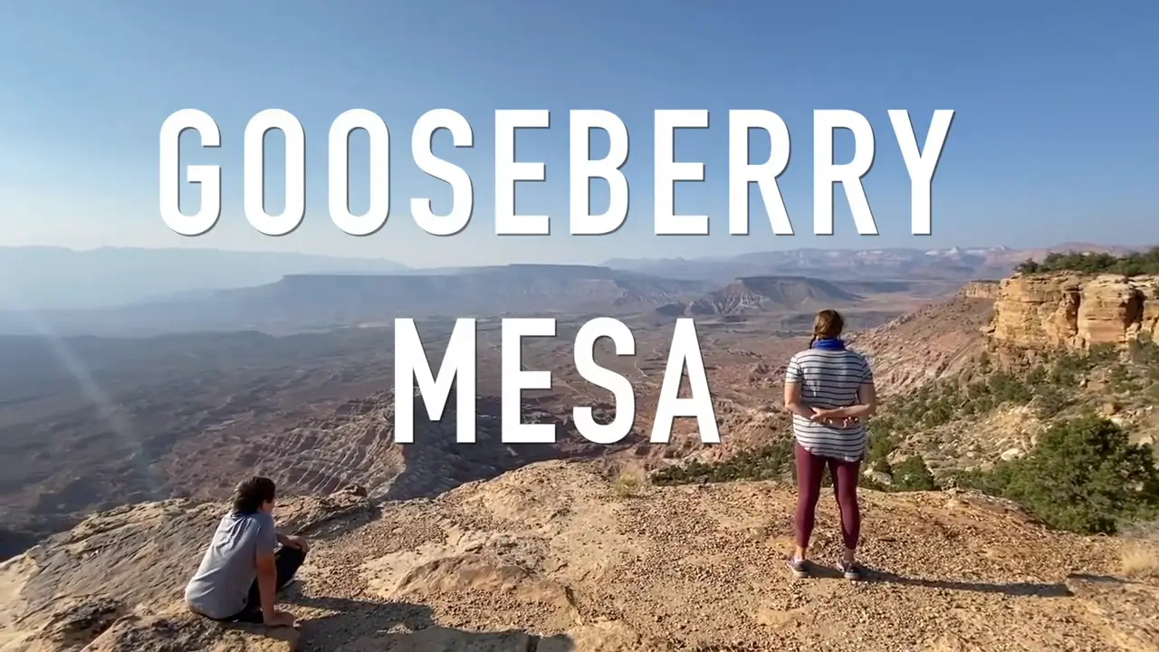 Goose berry Mesa