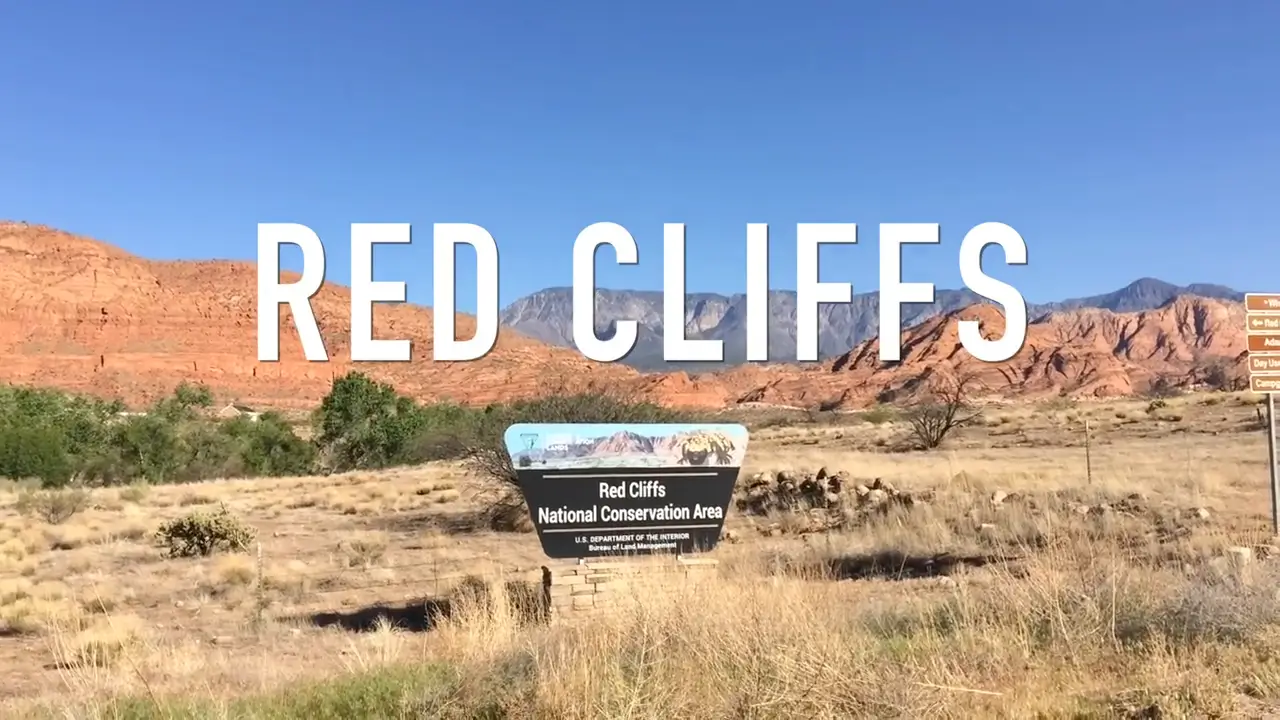 Red Cliffs Reserve