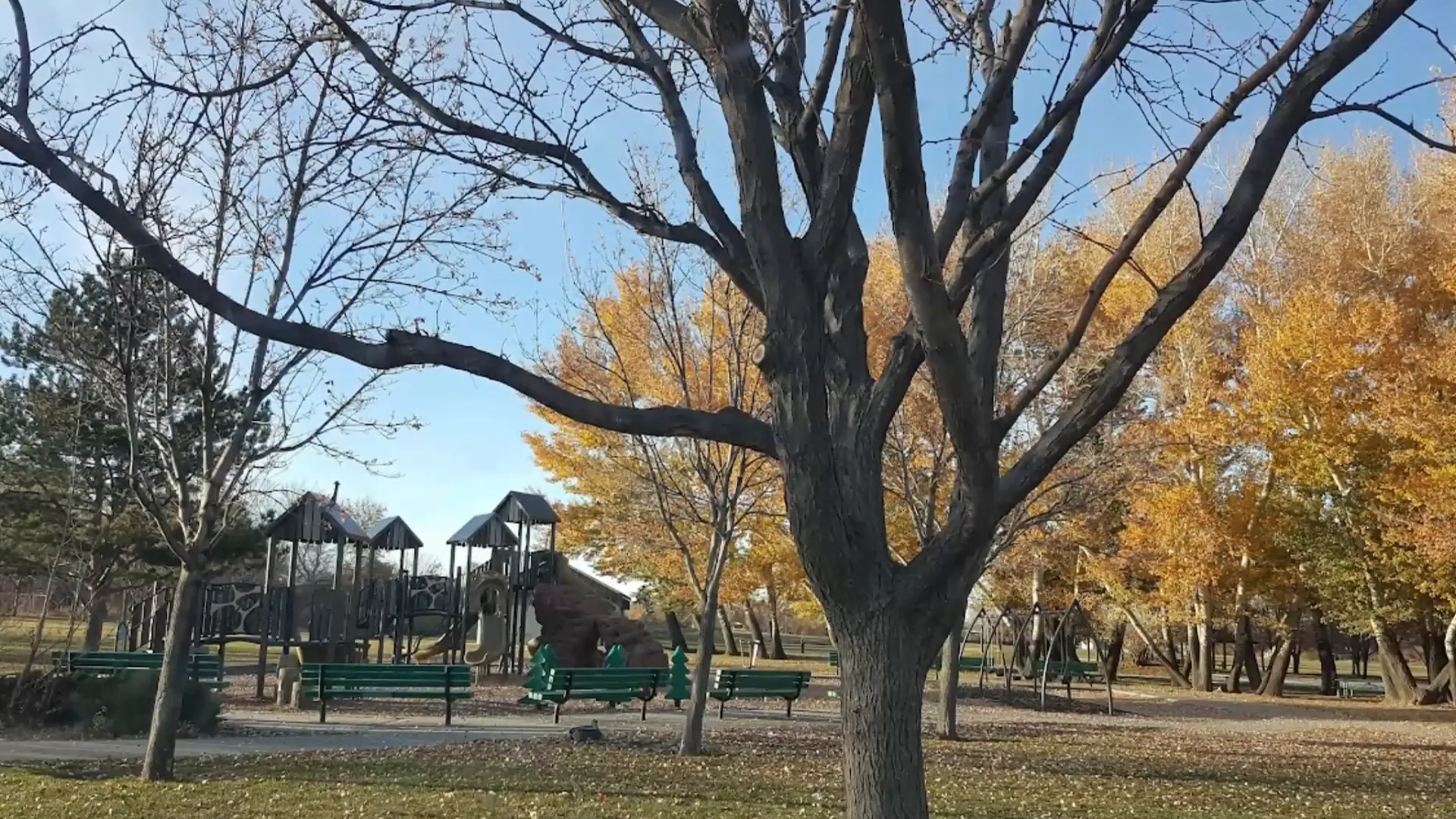Gary Swenson Valley Park in Taylorsville