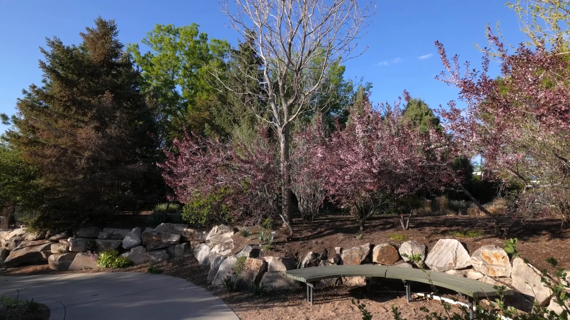 Lush gardens at Conservation Garden Park
