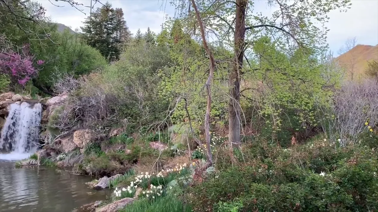 Botanical gardens with themed plantings and mountain backdrop