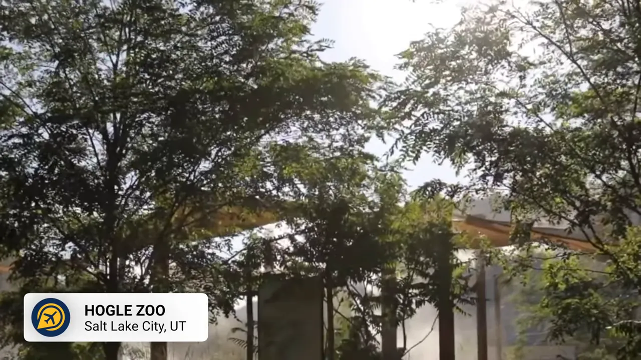 Zoo exhibit featuring animal habitats and lush foliage